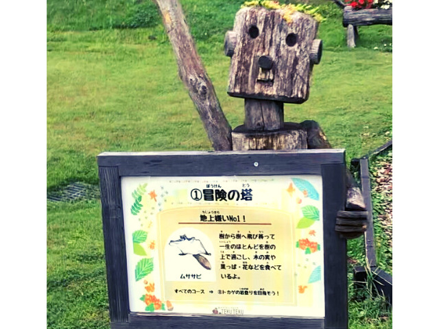 子供と一緒に楽しめる栃木県オススメのアスレチックは ツインリンクもてぎ紹介 Honey